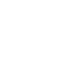 PROF ARIOVALDO - Experiencia - ALBERT EINSTEIN