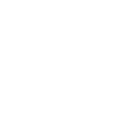 PROF ARIOVALDO - Experiencia - IAMSPE