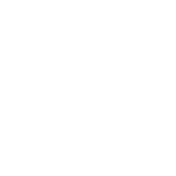 PROF ARIOVALDO - Experiencia - UFMG